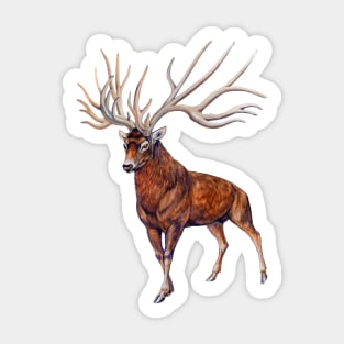 Bush-antlered deer (Eucladoceros) Sticker